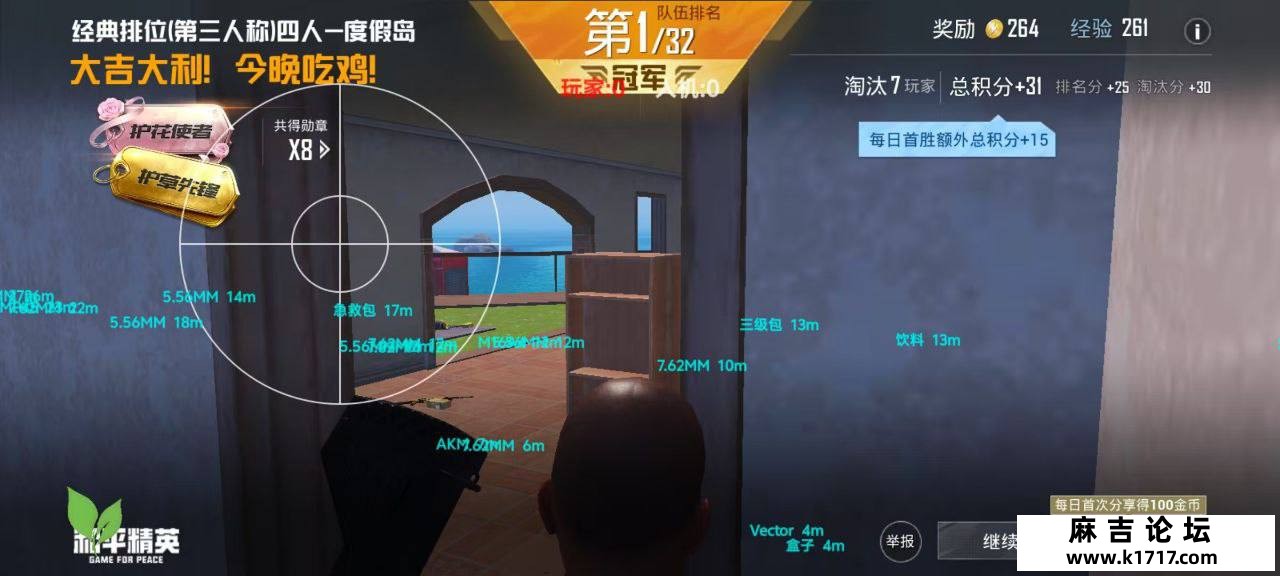 【和平精英】绿叶直装v1（破解版）