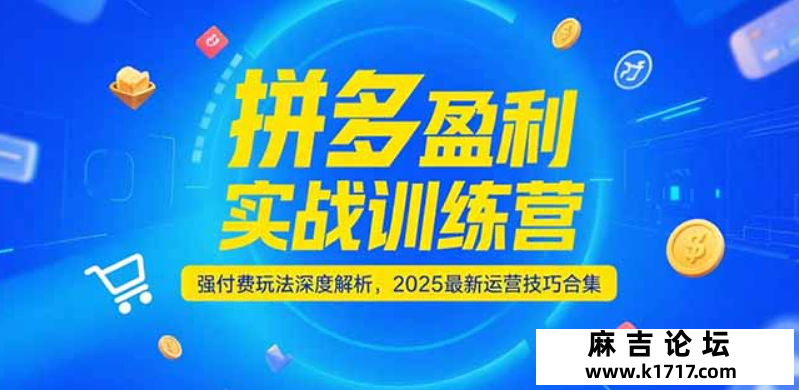 拼夕夕盈利实战训练营，强付费玩法深度解析，2025最新运...